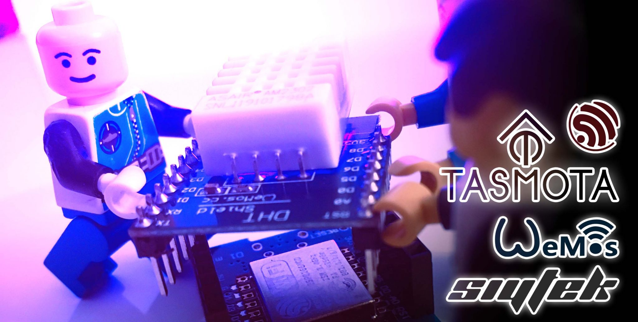 Home Assistant Temp Sensor