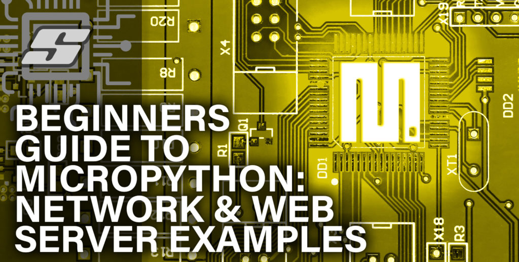 Beginners Guide to MicroPython Network & Web Server Examples