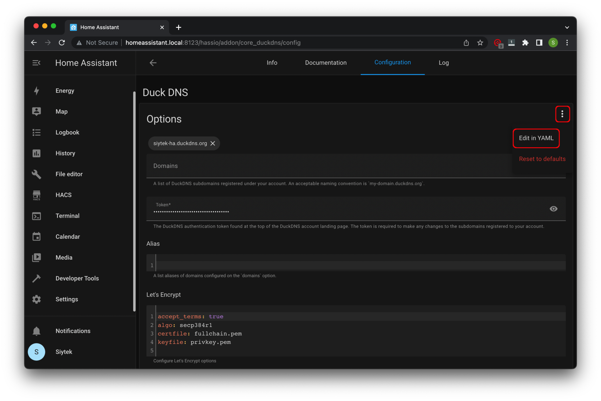 How do I Securely Access Home Assistant Remotely & For FREE? Siytek